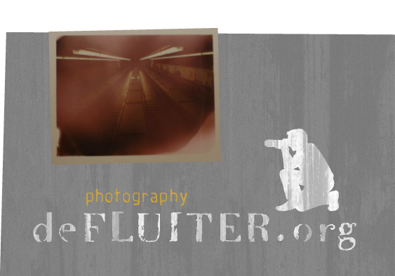 deFLUITER.org